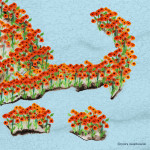 CapeOpiates2thumb 150x150