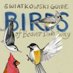 birds detail