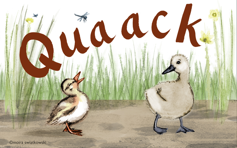 Quack Lessons